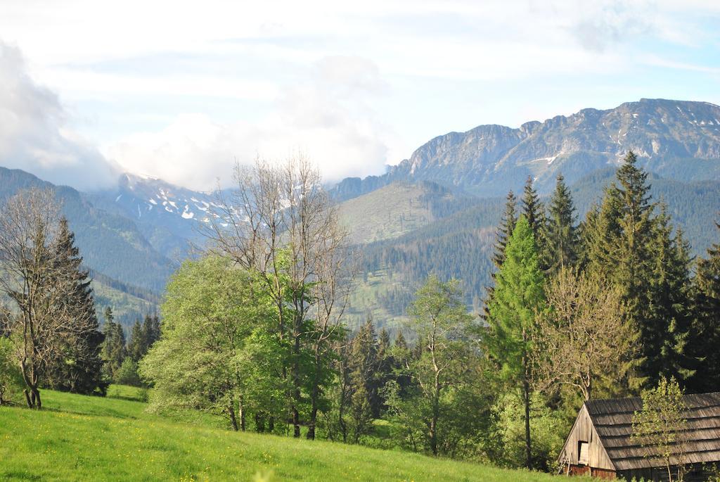 Apartamenty Carpe Diem Kościelisko Exteriér fotografie