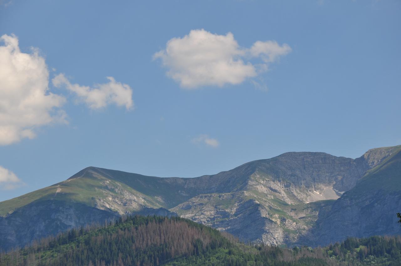 Apartamenty Carpe Diem Kościelisko Exteriér fotografie